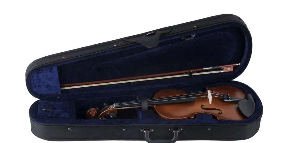 100% Brand New Original Hot Selling Product Inverter PLC Others Handmade Professional Violin