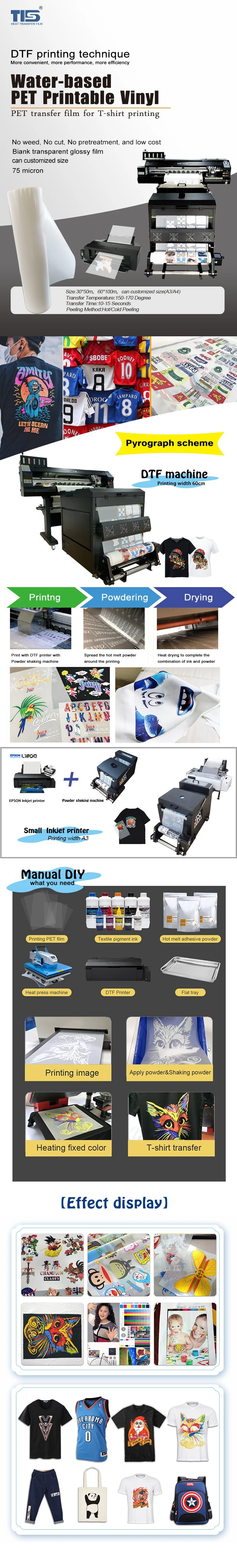 Wholsale Logo Printing on Textile Quick Press Vinyl Eco Solven Printer Cmyk+White Dtf DTG Pet Transfer Film White Ink T Heat Transfer Vinyl for T Shirt